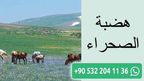 هضبة الصحراء